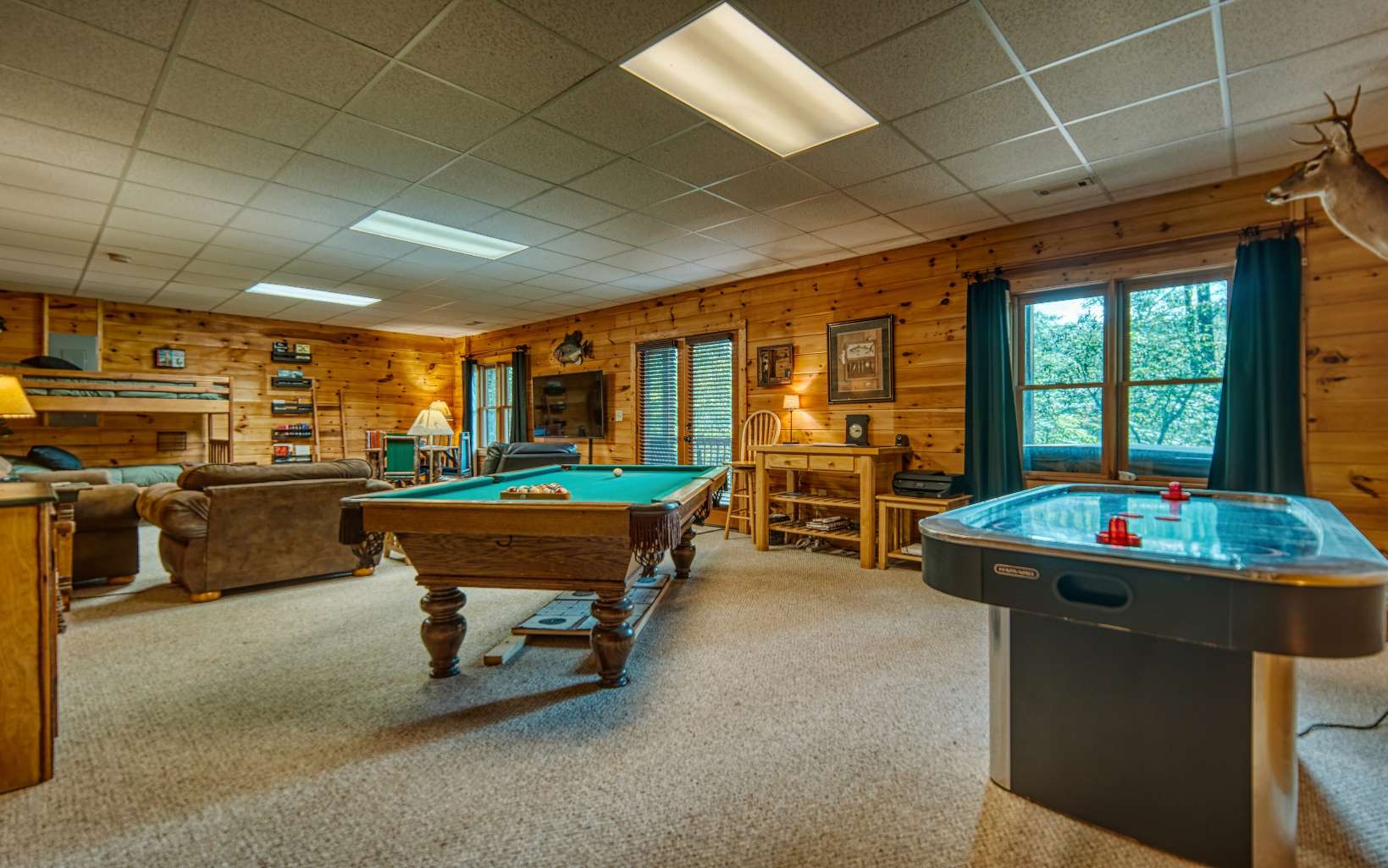 206 Mountain View Road Cherry Log, GA 30522 - Photo 28 of 49 a room with pool table and windows