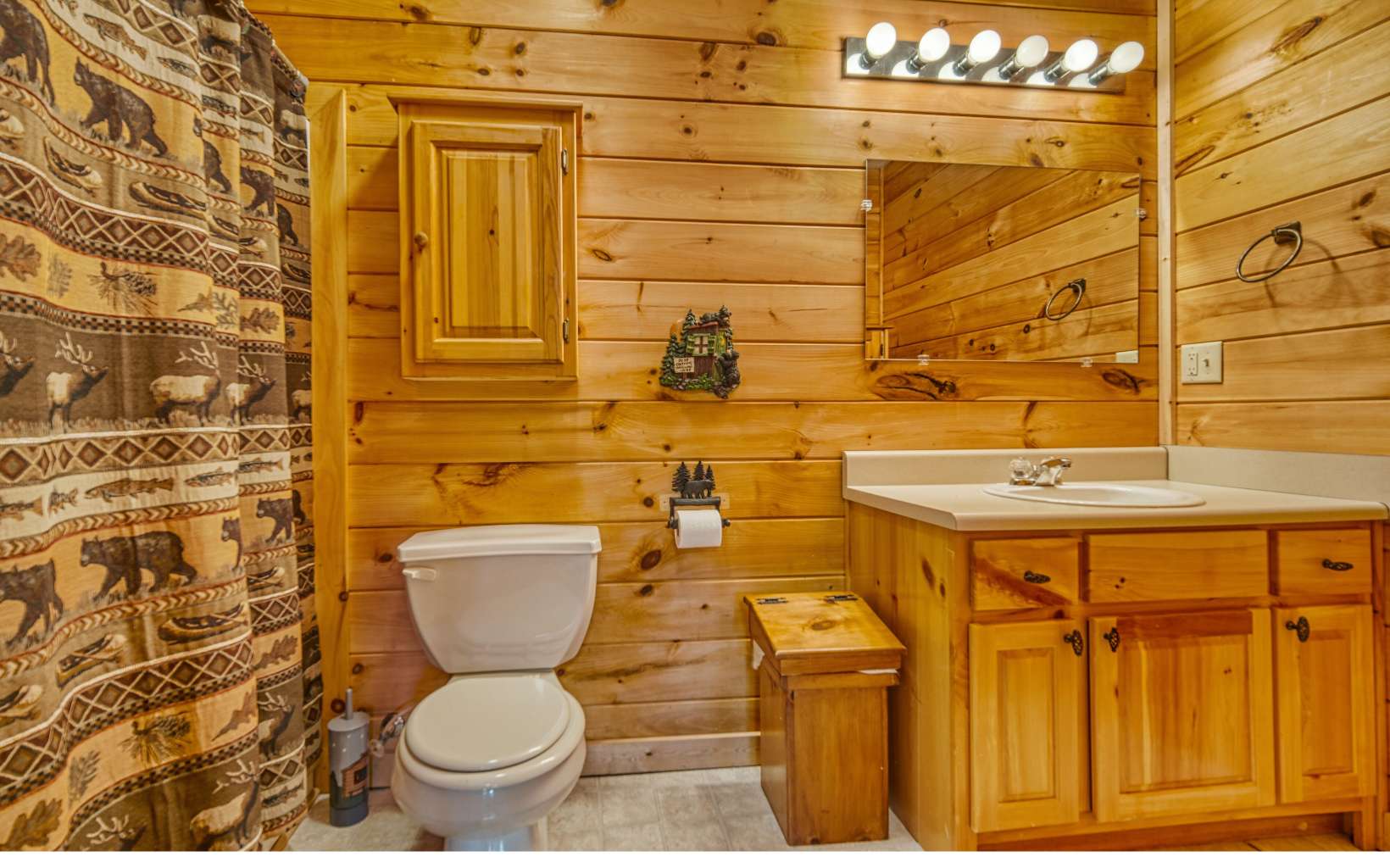 206 Mountain View Road Cherry Log, GA 30522 - Photo 31 of 49 a bathroom with a sink and toilet
