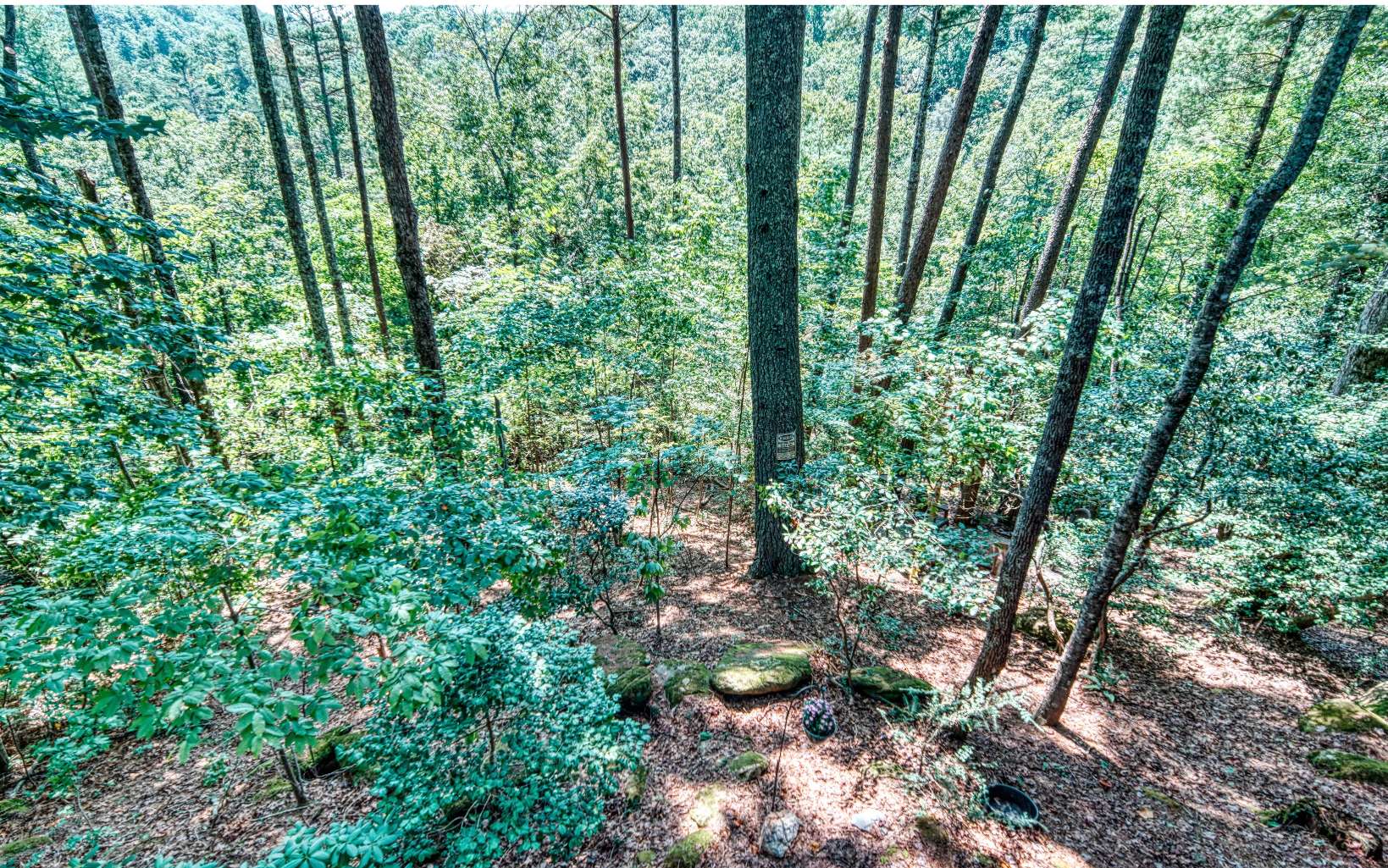 206 Mountain View Road Cherry Log, GA 30522 - Photo 38 of 49 a backyard of a house with lots of green space