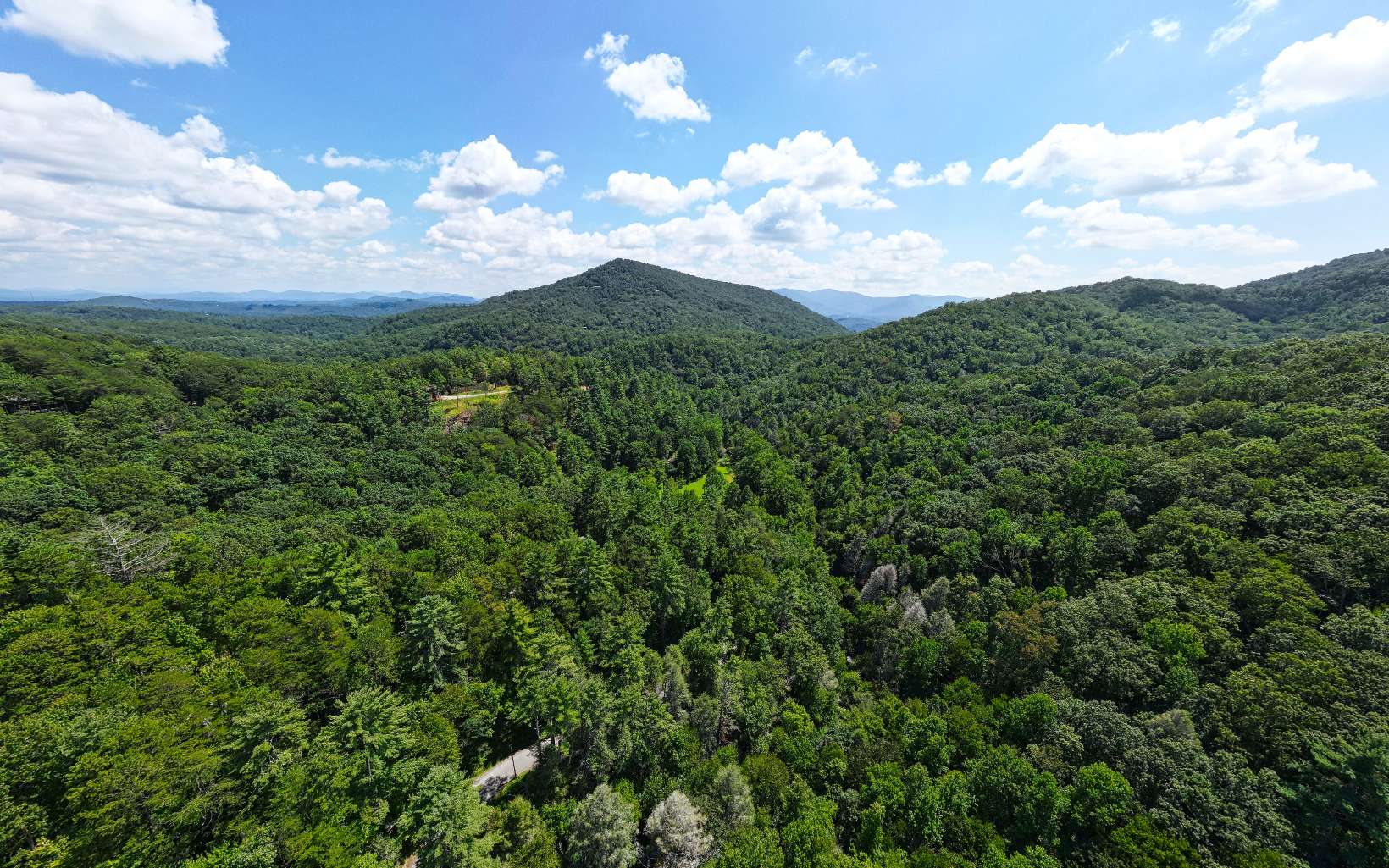 206 Mountain View Road Cherry Log, GA 30522 - Photo 45 of 49 a view of a city with lush green forest