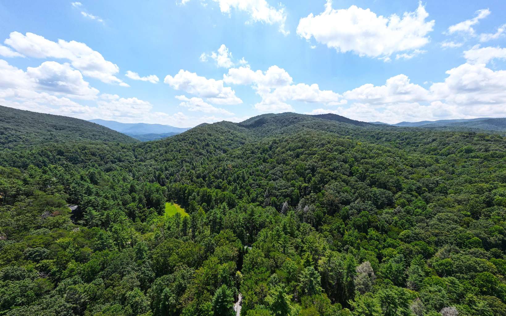 206 Mountain View Road Cherry Log, GA 30522 - Photo 47 of 49 a view of a city with lush green forest