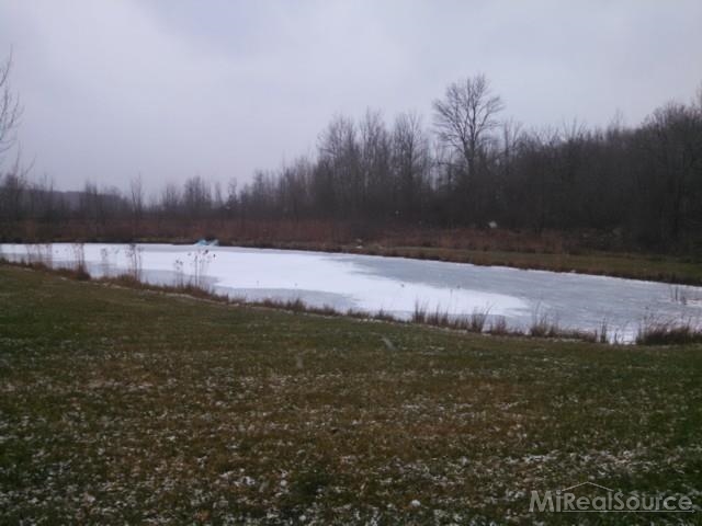 8703 Fisher Road Avoca, MI 48006 - Photo 19 of 20
