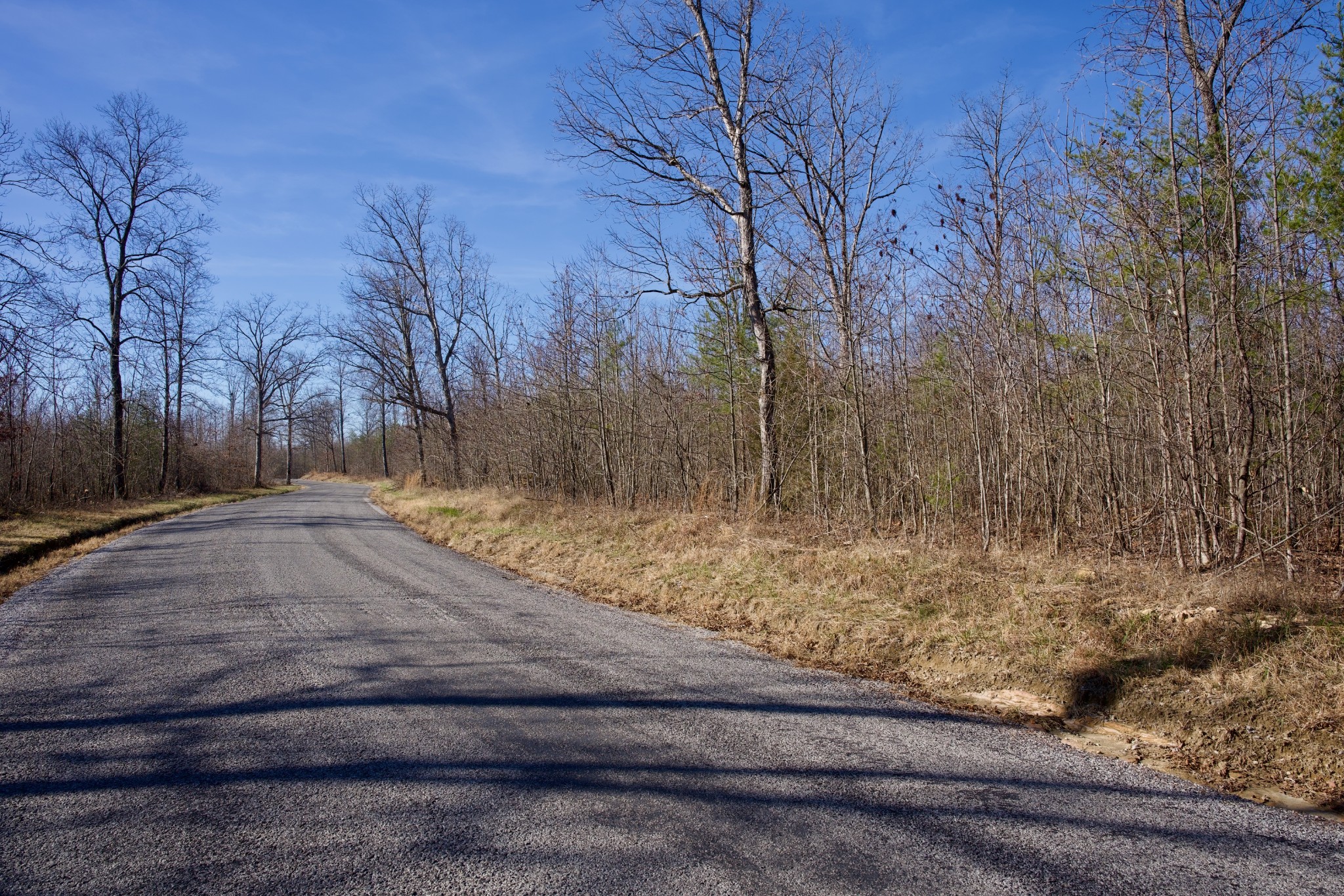a view of a yard with snow on the road