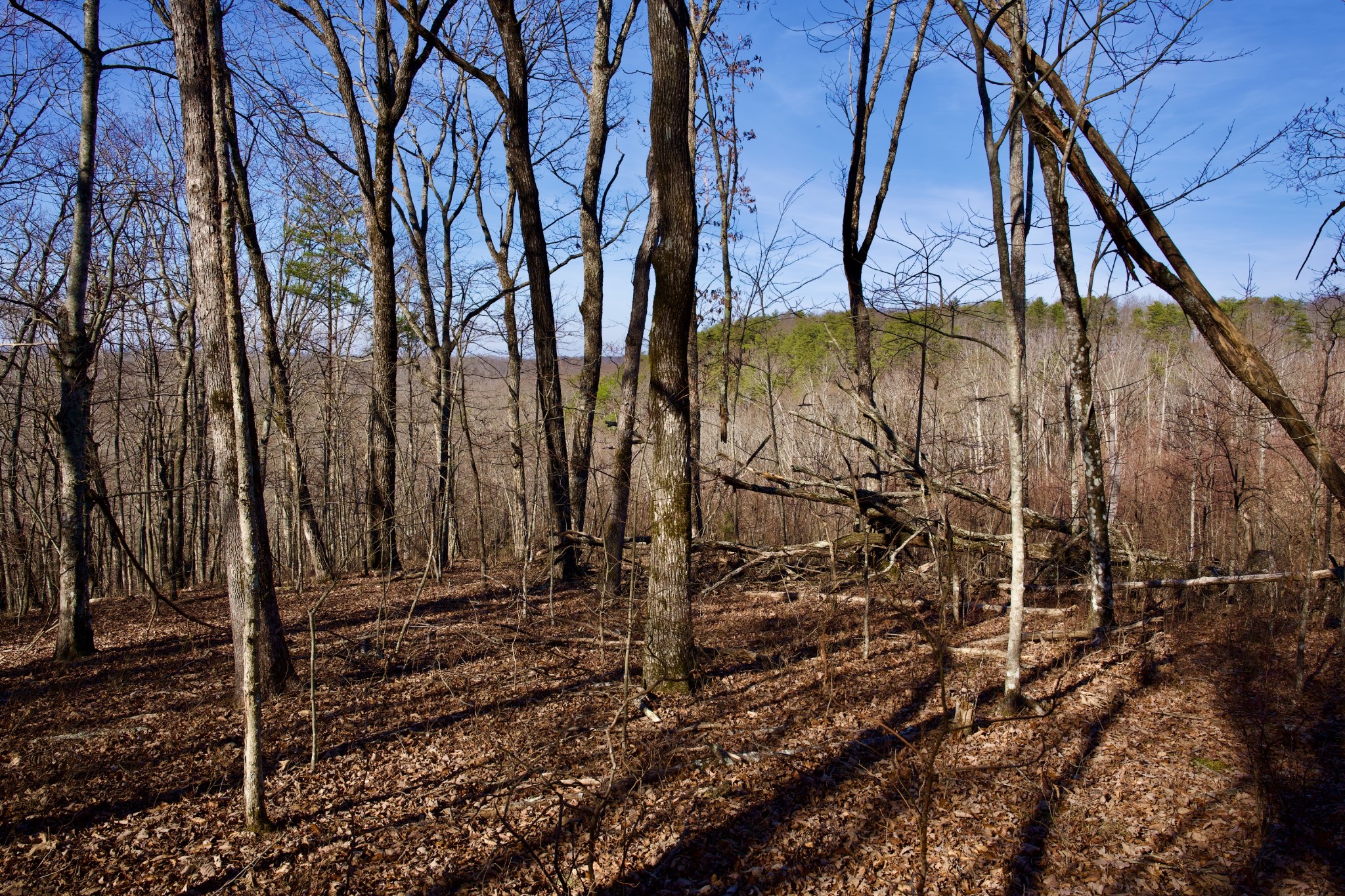 100 Valley View Road Crossville, TN 38572 - Photo 13 of 37 a view of a backyard