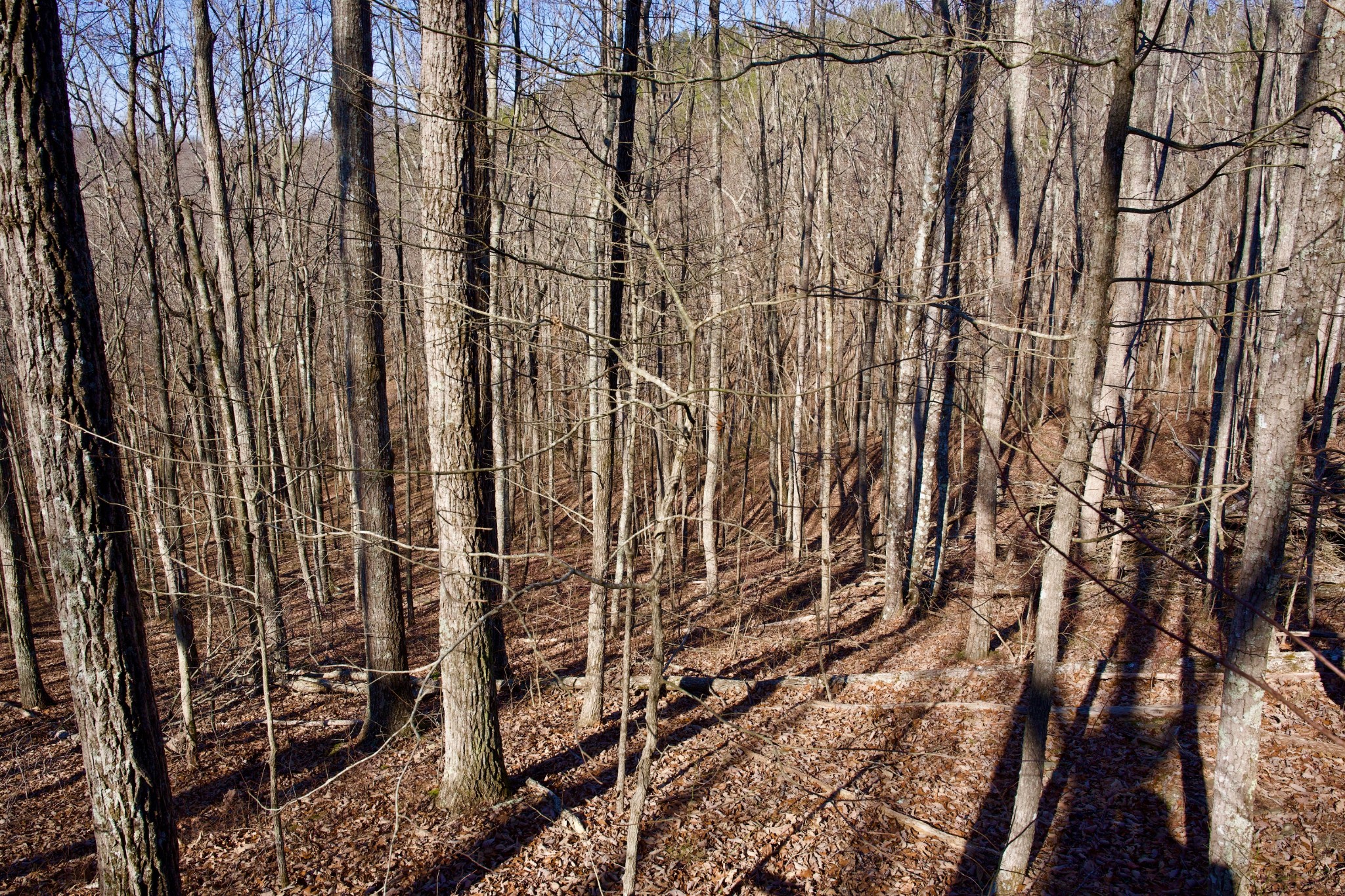 100 Valley View Road Crossville, TN 38572 - Photo 18 of 37