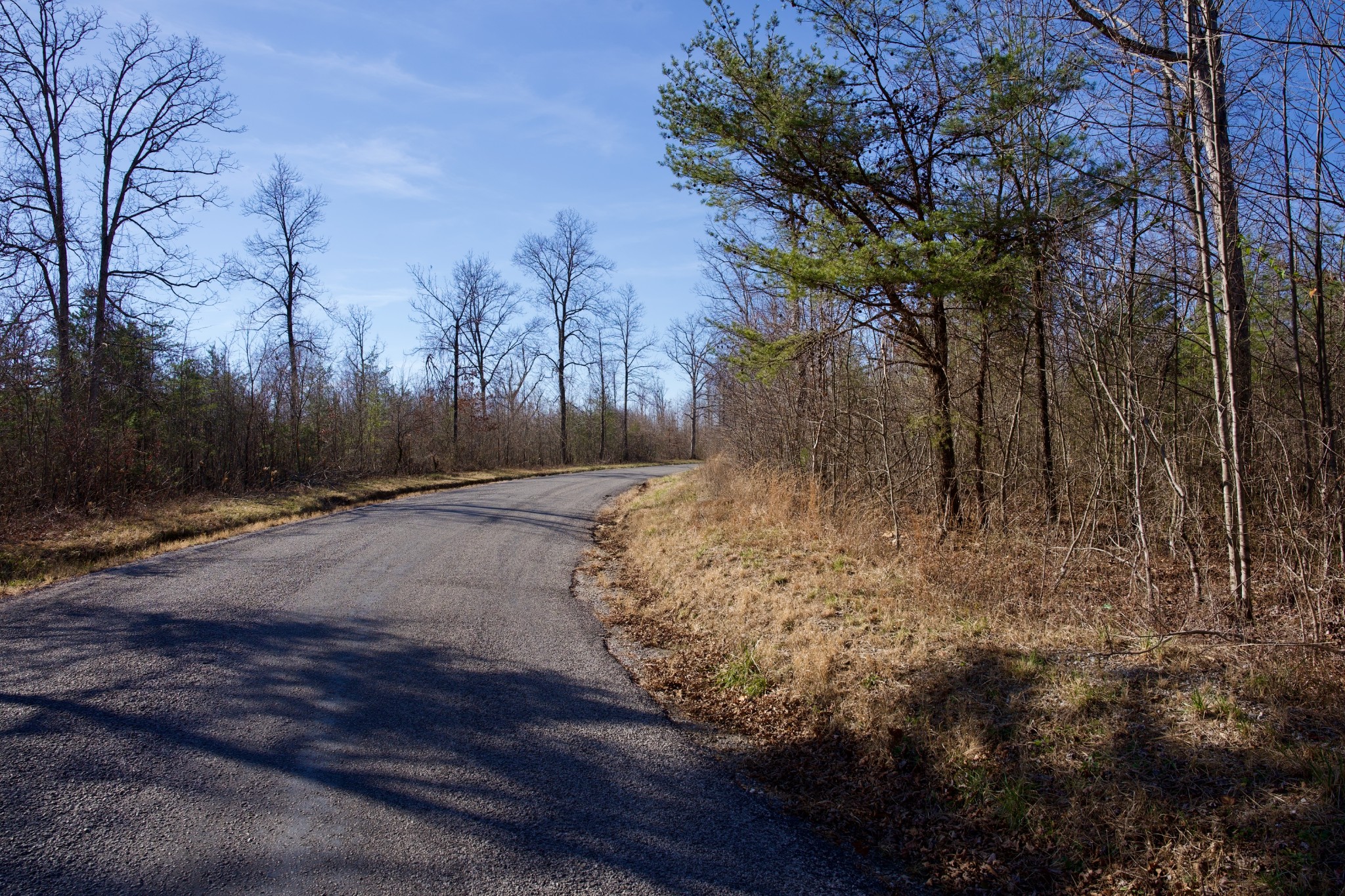 100 Valley View Road Crossville, TN 38572 - Photo 2 of 37 a view of a yard with trees
