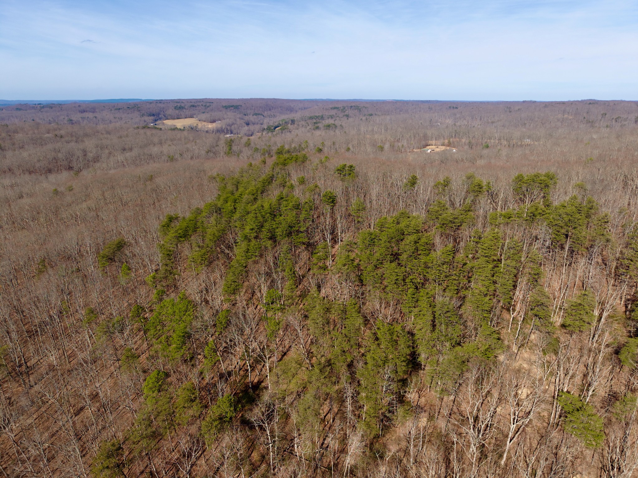 100 Valley View Road Crossville, TN 38572 - Photo 25 of 37 a view of a city with lush green forest