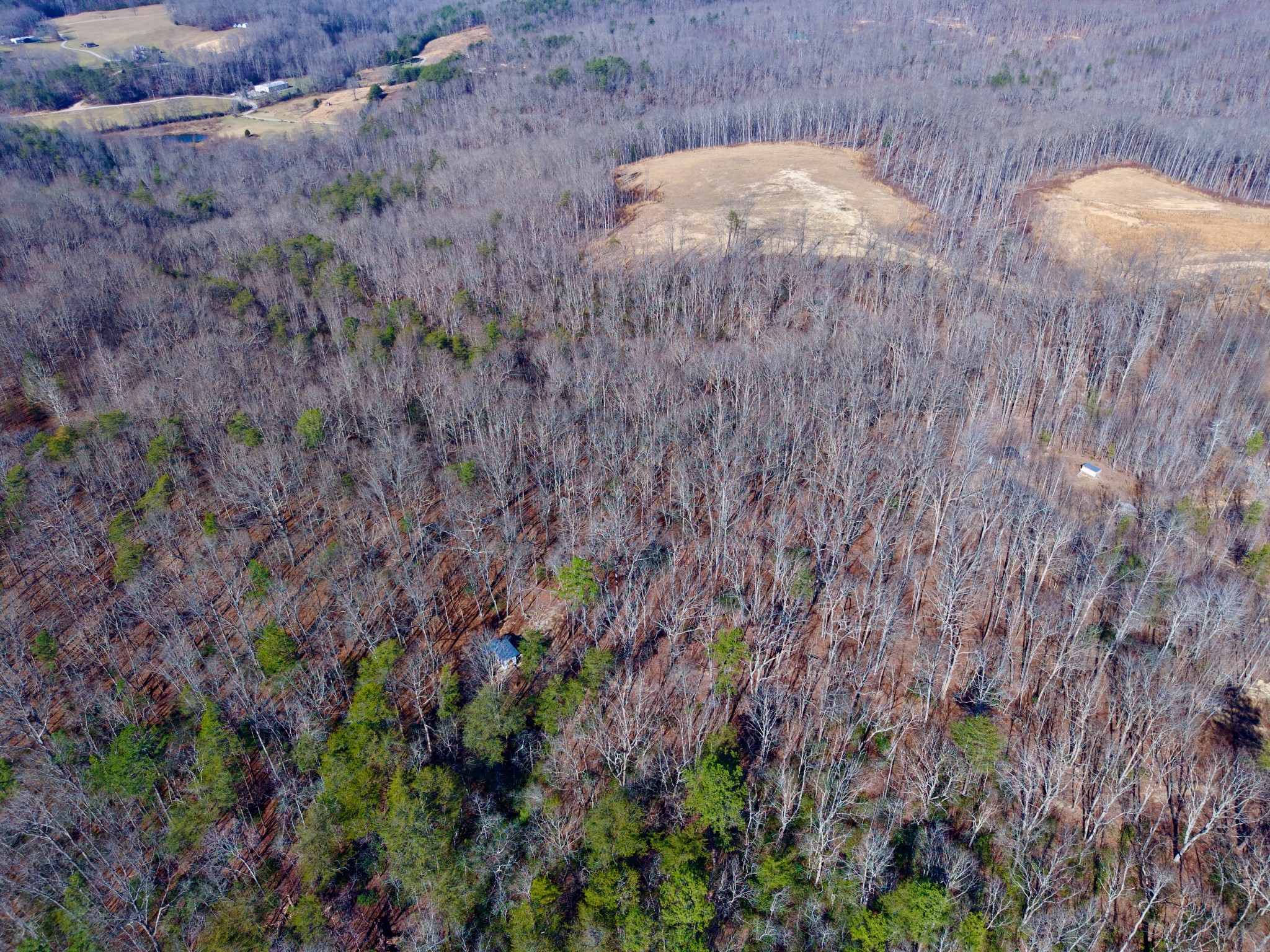 100 Valley View Road Crossville, TN 38572 - Photo 29 of 37 a view of a bunch of trees
