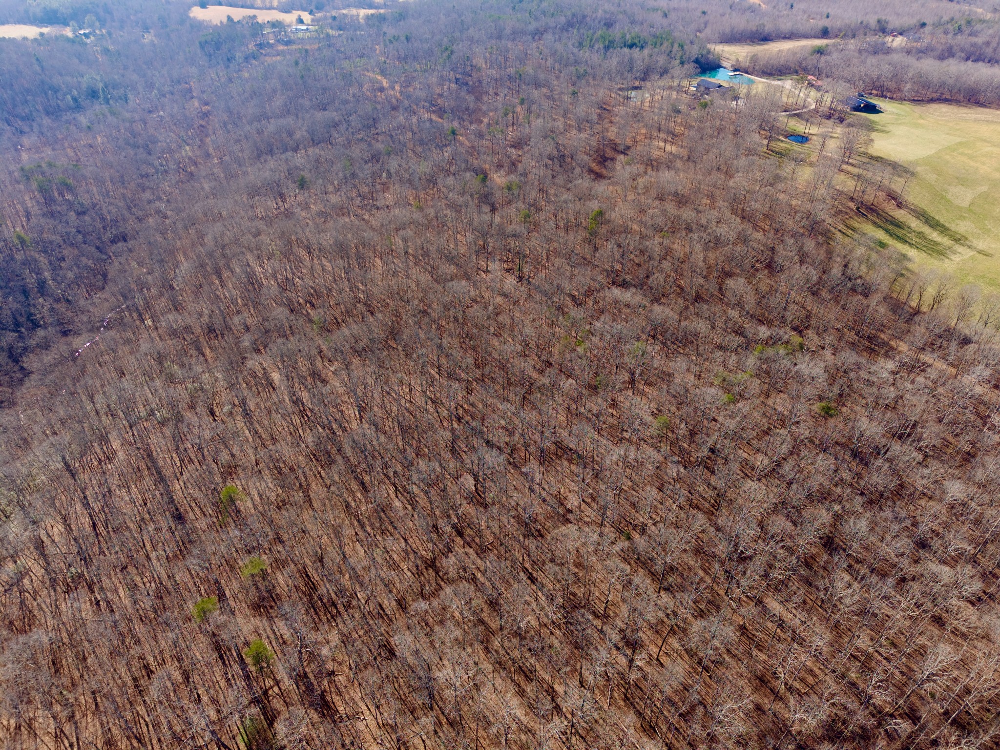 100 Valley View Road Crossville, TN 38572 - Photo 31 of 37 a view of a yard