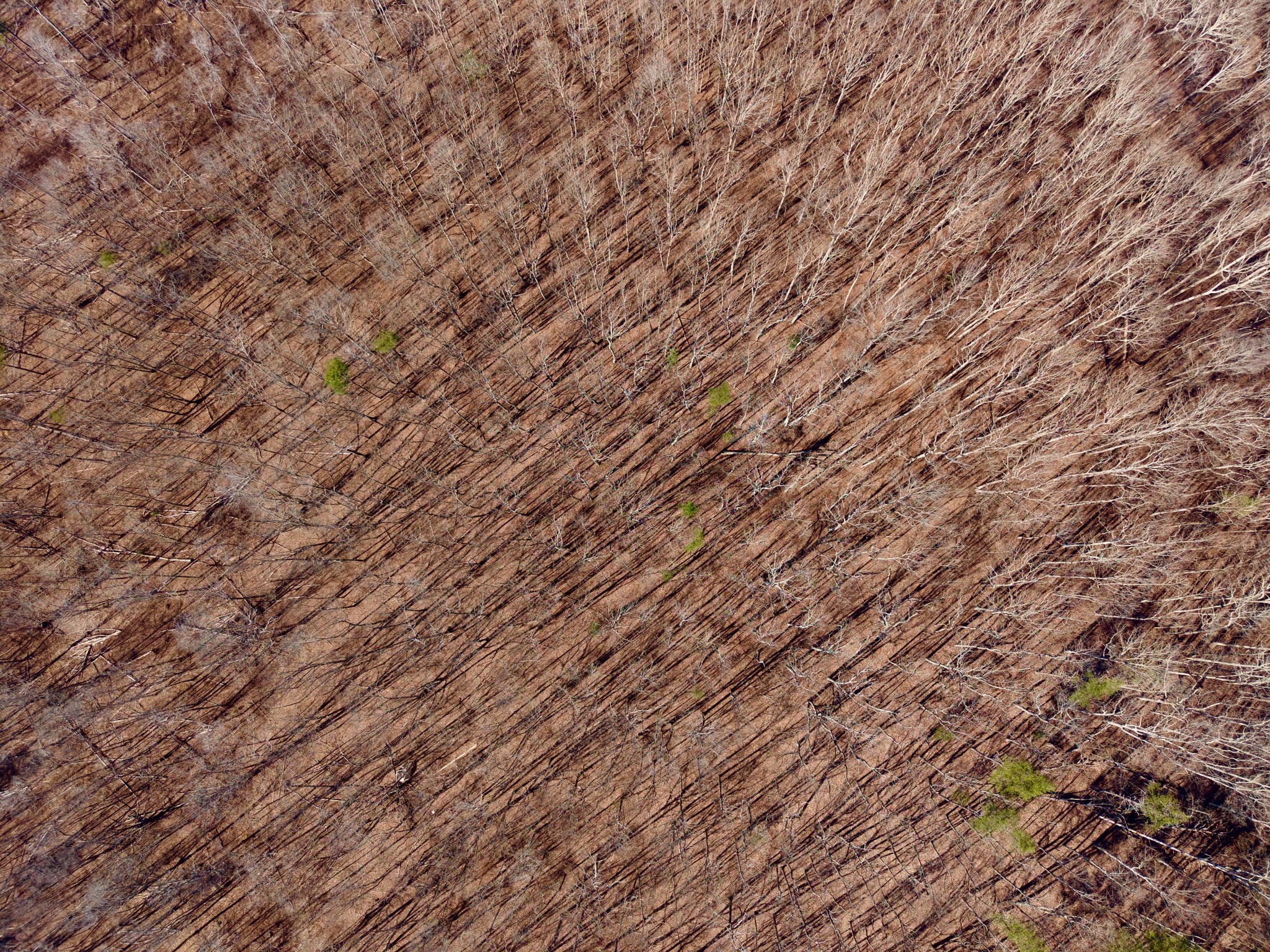 100 Valley View Road Crossville, TN 38572 - Photo 37 of 37