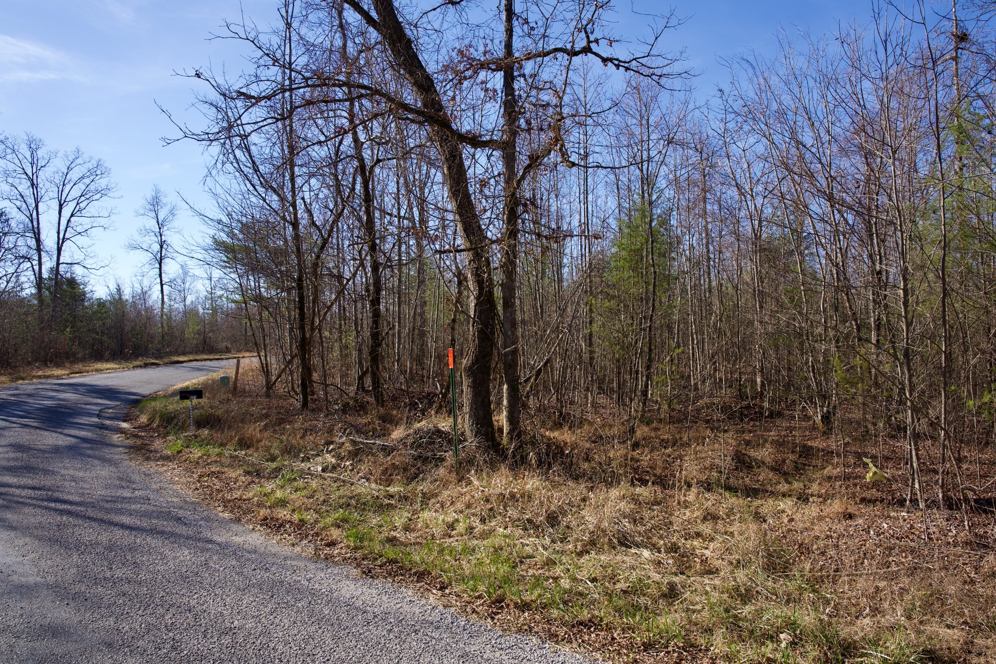 100 Valley View Road Crossville, TN 38572 - Photo 4 of 37 a view of backyard with green space