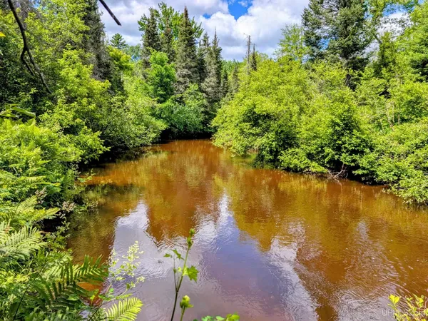 $320,000 | 55-acres Old M 28 Highway, Trout Creek, MI 49967