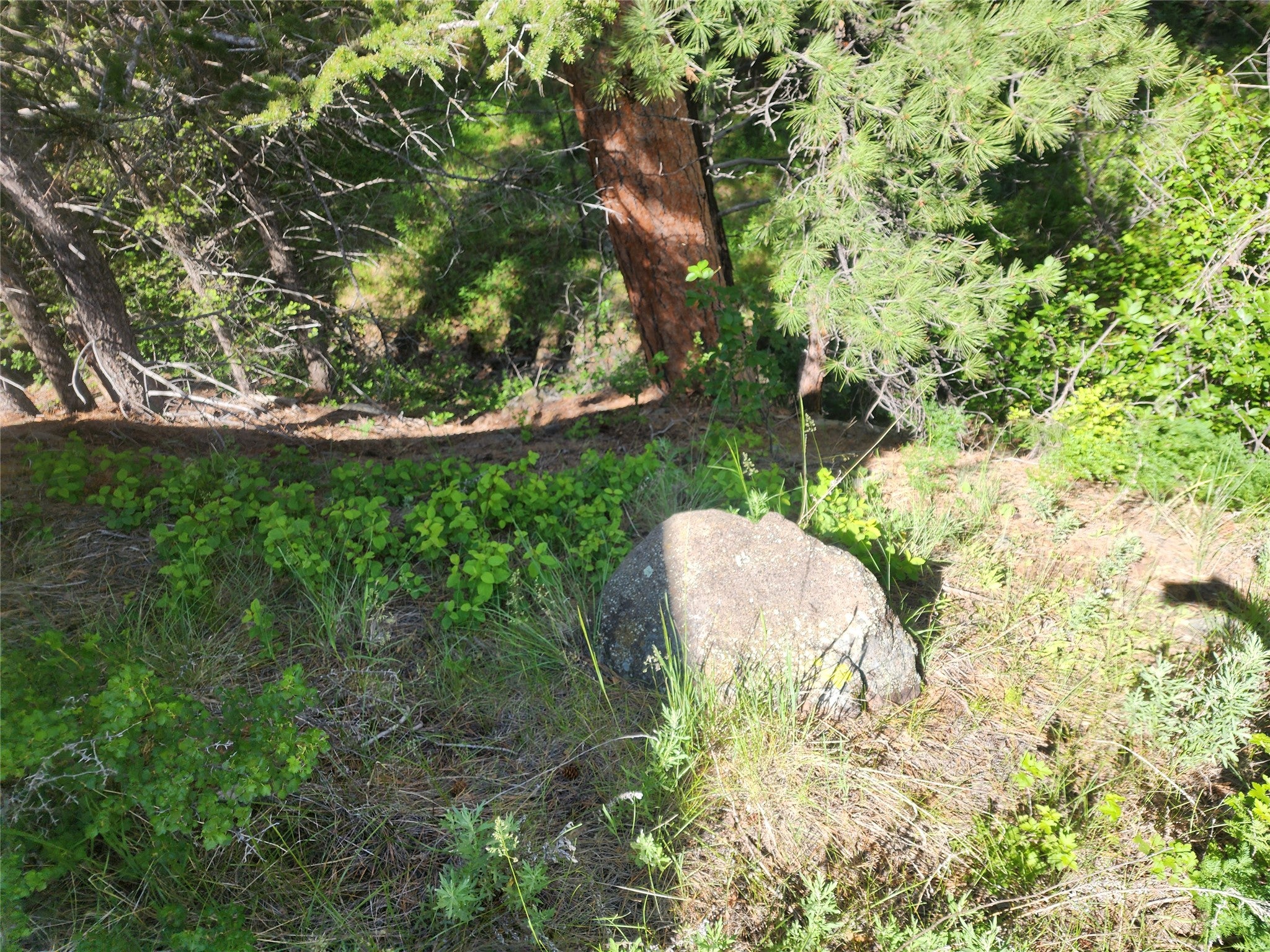 37 Outer Loop Road Cascade, MT 59421 - Photo 15 of 22 Gallery Image 15