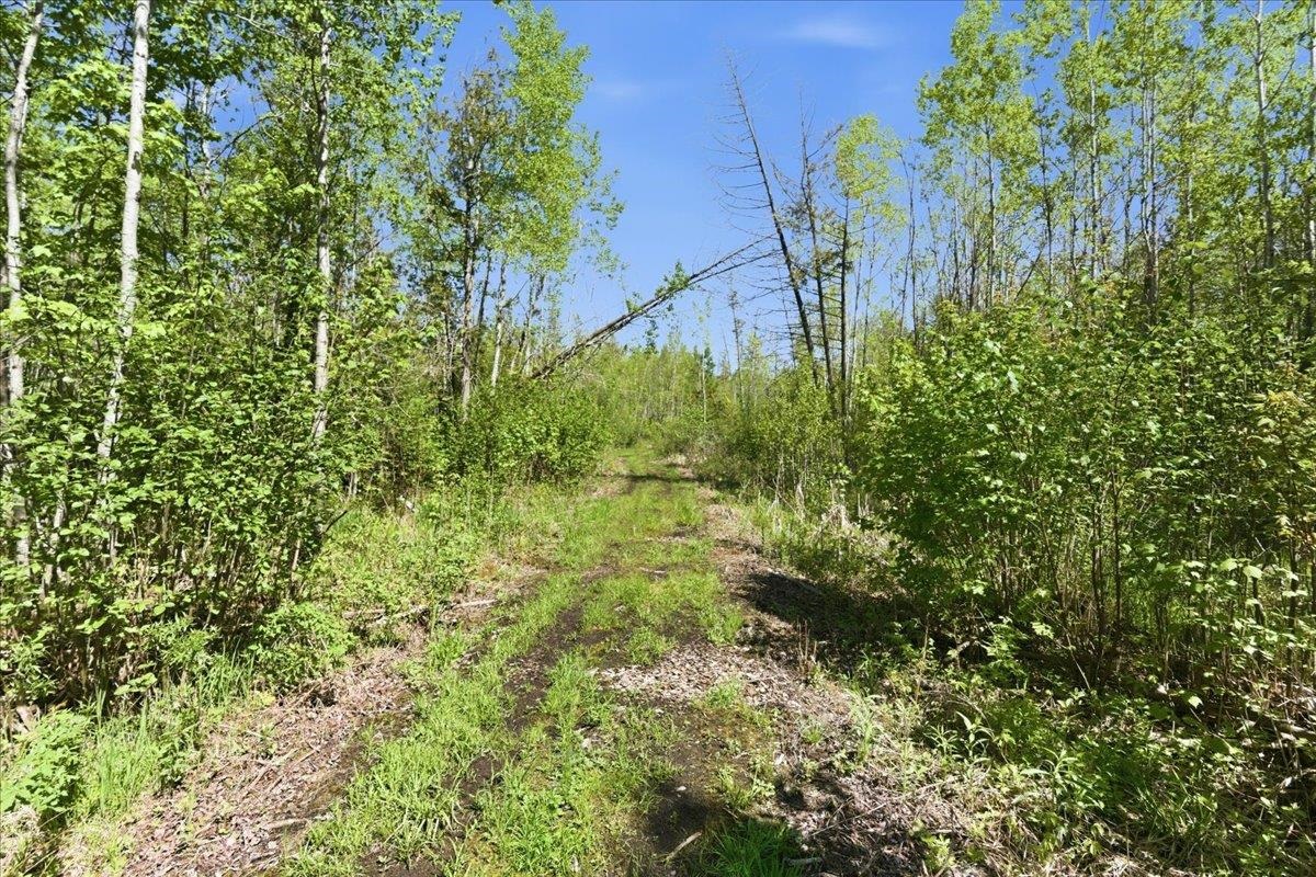 0 County Highway J Deerbrook, WI 54424 - Photo 12 of 78