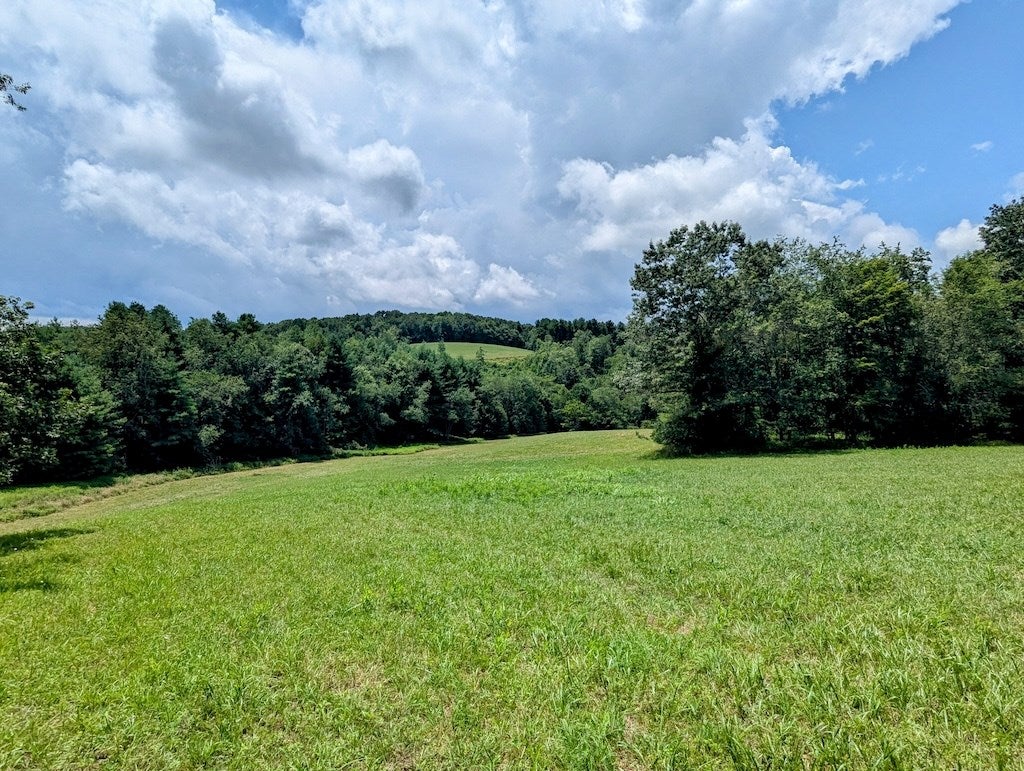515 Windsor Road Northwest Willis, VA 24380 - Photo 26 of 30 Gallery Image 26