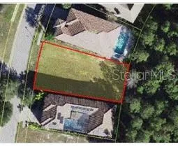 a view of a yard with plants