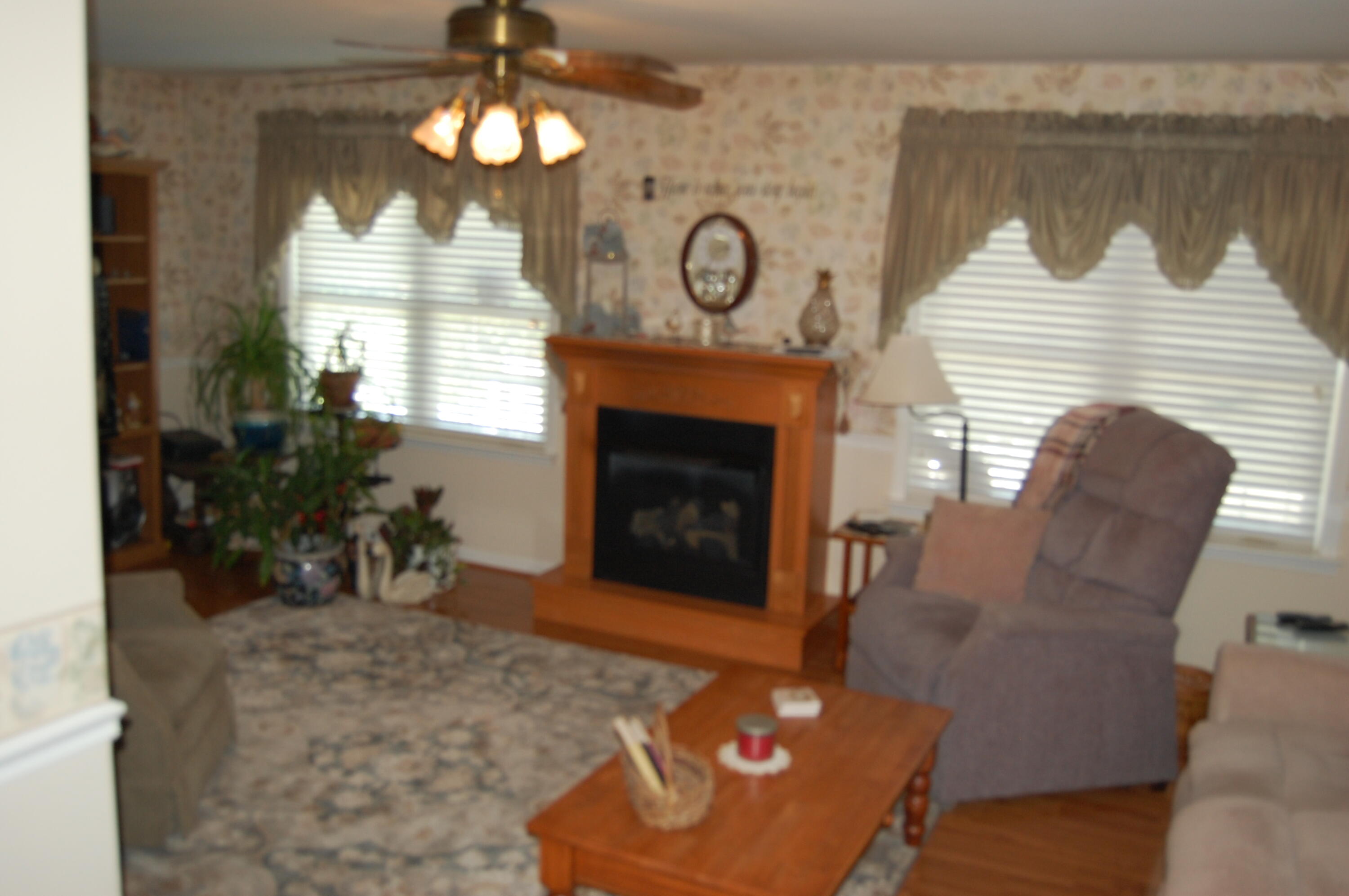 4307 Oliver Road Northeast Roanoke, VA 24012 - Photo 8 of 12 DSC_0197