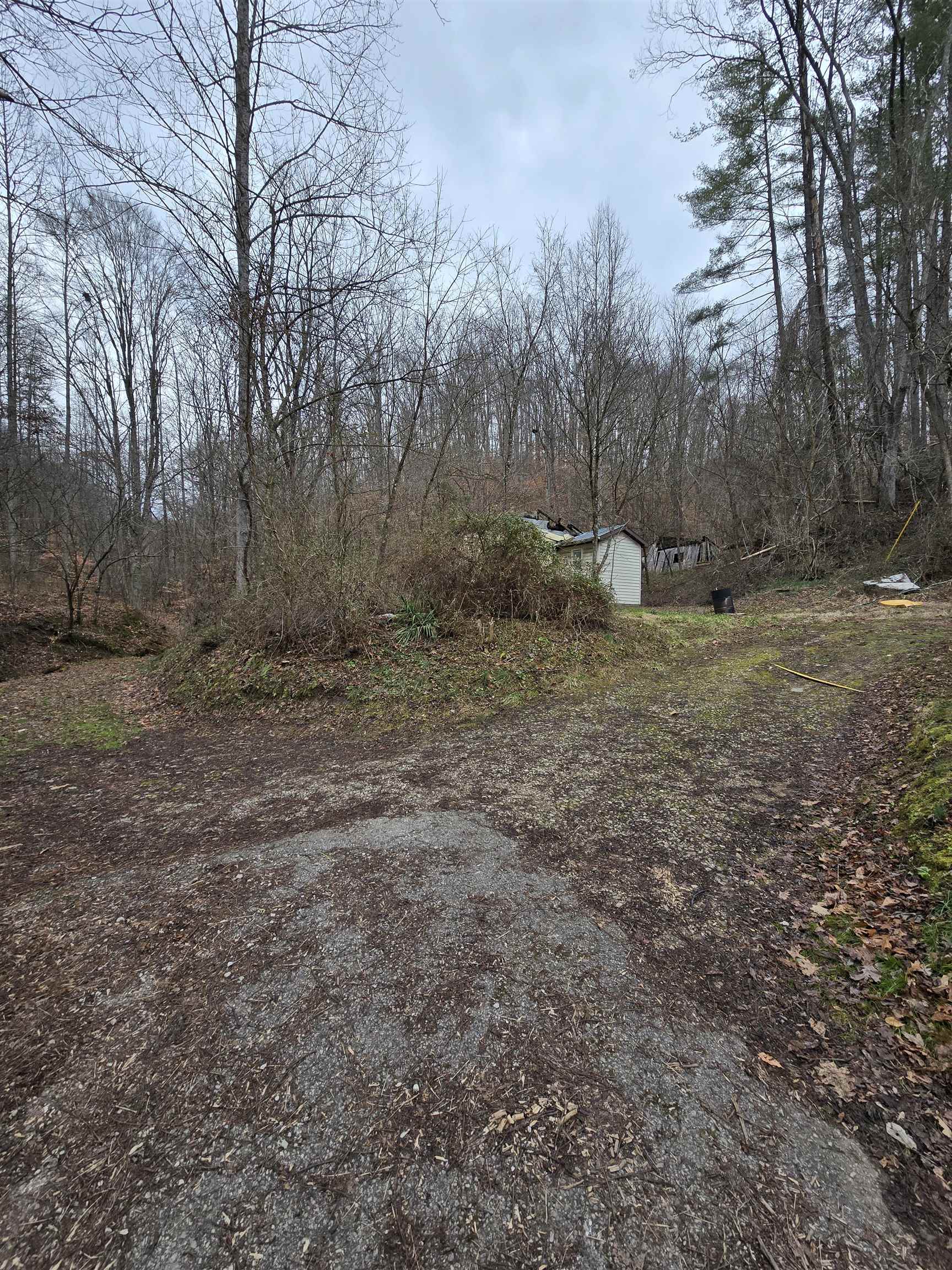 159 Apple Hollow Road Louisa, KY 41230 - Photo 1 of 4