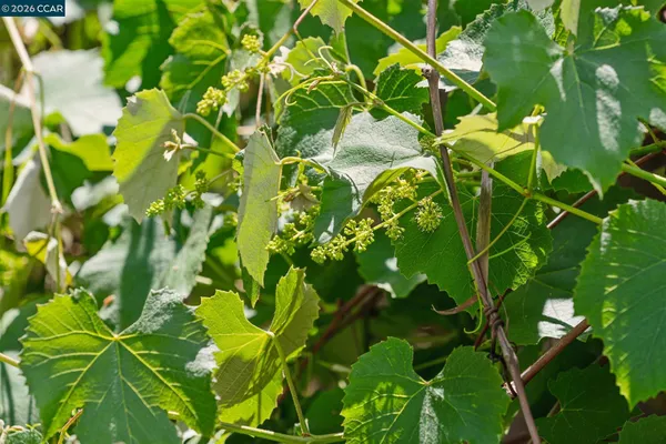 $880,000 | 125 Luella Drive, Pleasant Hill, CA 94523