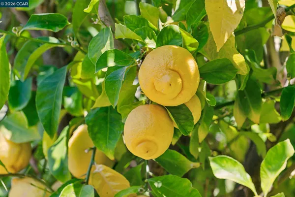 $880,000 | 125 Luella Drive, Pleasant Hill, CA 94523