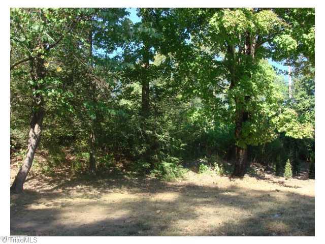 0 Main Street Pfafftown, NC 27040 - Photo 4 of 6 Land/Lot.