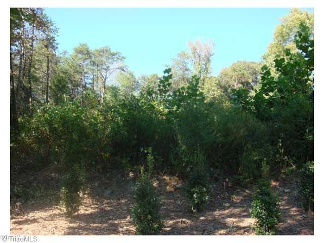 0 Main Street Pfafftown, NC 27040 - Photo 5 of 6 Land/Lot.