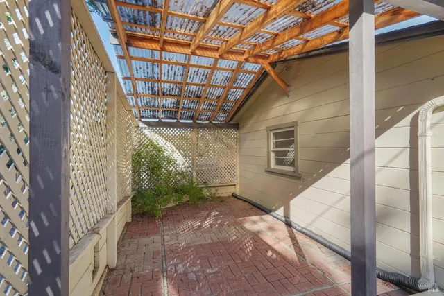 a view of a yard with plants and trees