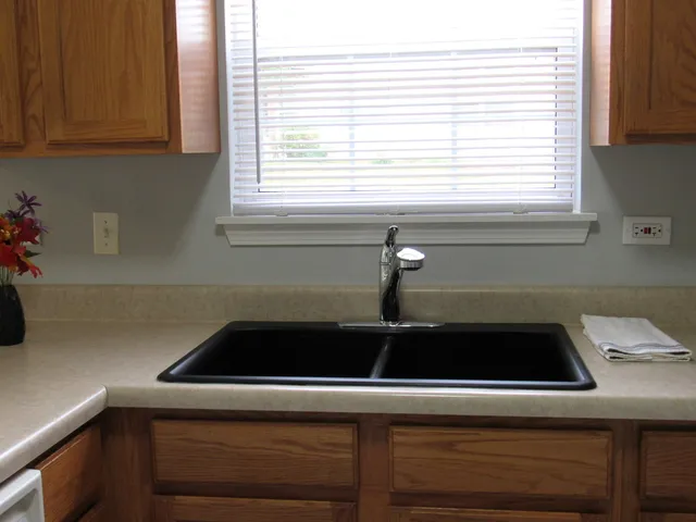 a close view of sink and dishwasher