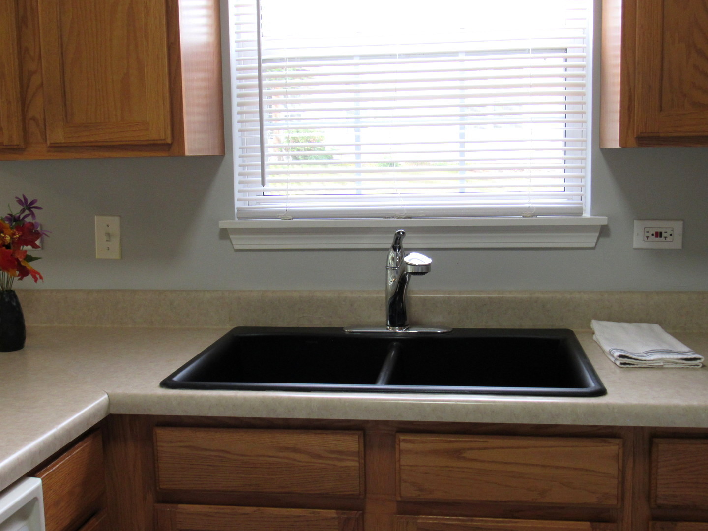 1202 North Red Oak Circle, Unit 2 Round Lake Beach, IL 60073 - Photo 6 of 18 a close view of sink and dishwasher