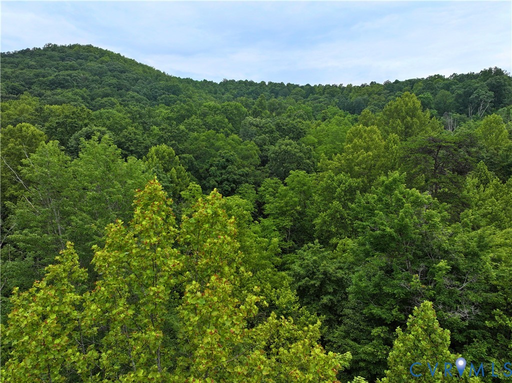2593 Mountain Valley Road Vinton, VA 24179 - Photo 42 of 48 Gallery Image 42