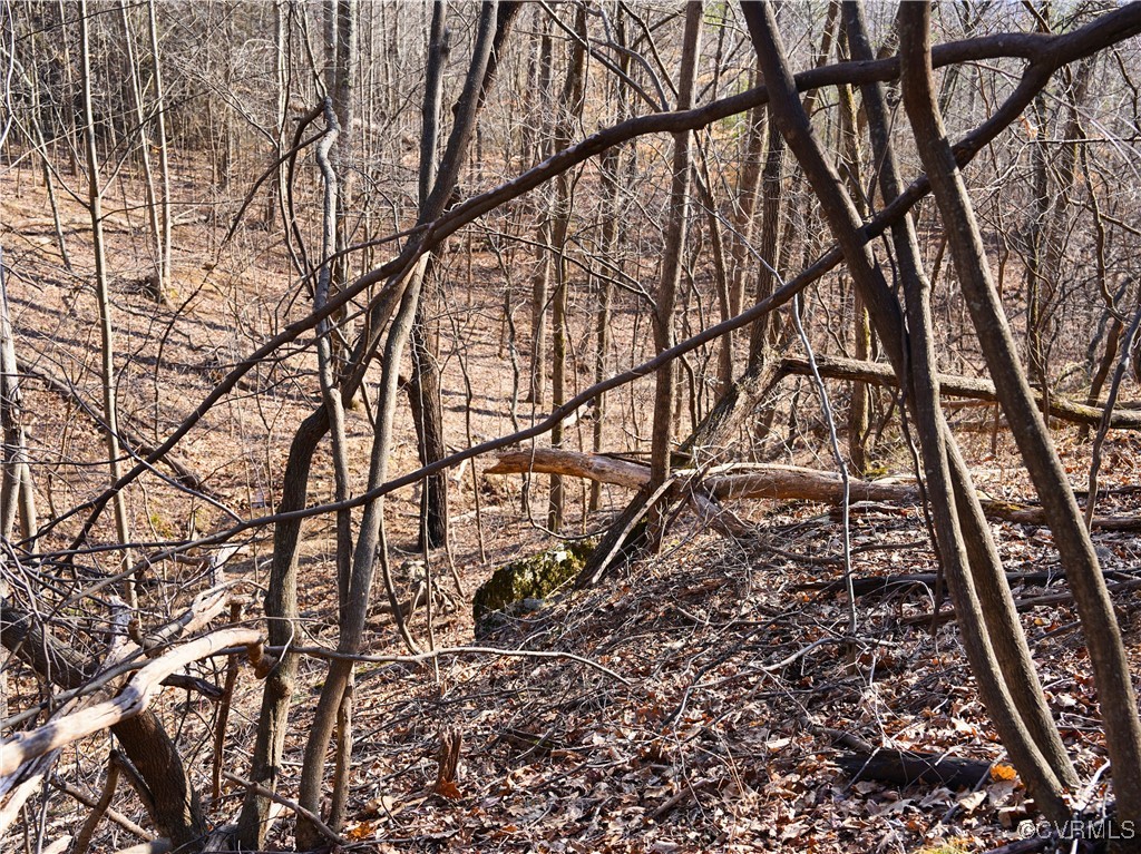 2593 Mountain Valley Road Vinton, VA 24179 - Photo 43 of 48 Gallery Image 43