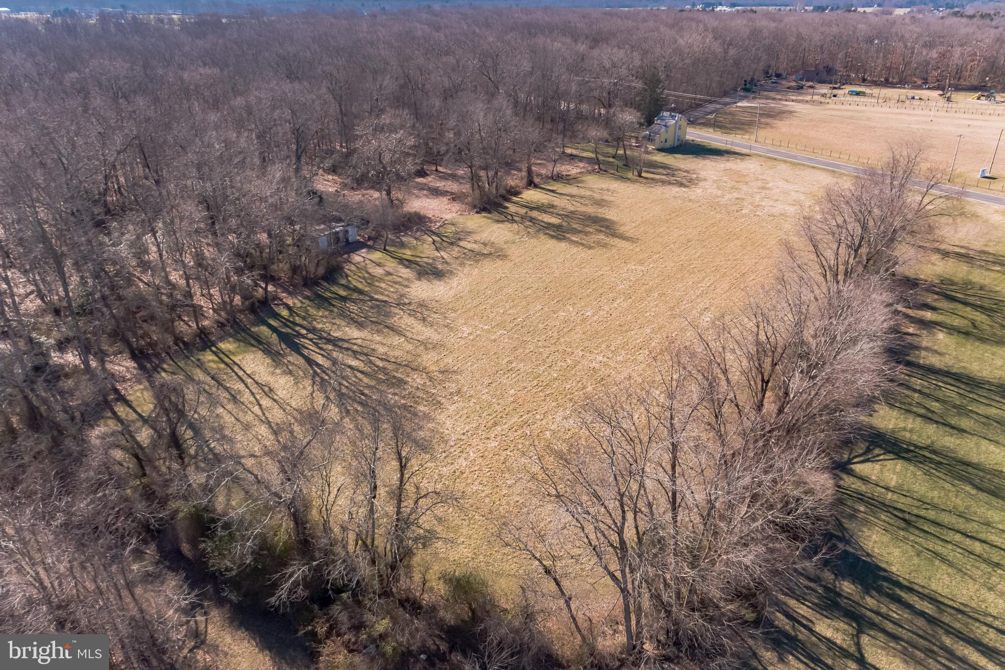 1332 Old Indian Mills Road Shamong, NJ 08088 - Photo 4 of 10 a view of a yard with trees