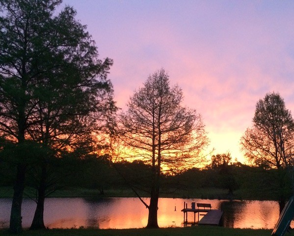 37243 FM 521 Road Bay City, TX 77414 - Photo 50 of 50 Enjoy sunsets over the lake and through the cypress trees from the backyard pool and firepit area!
