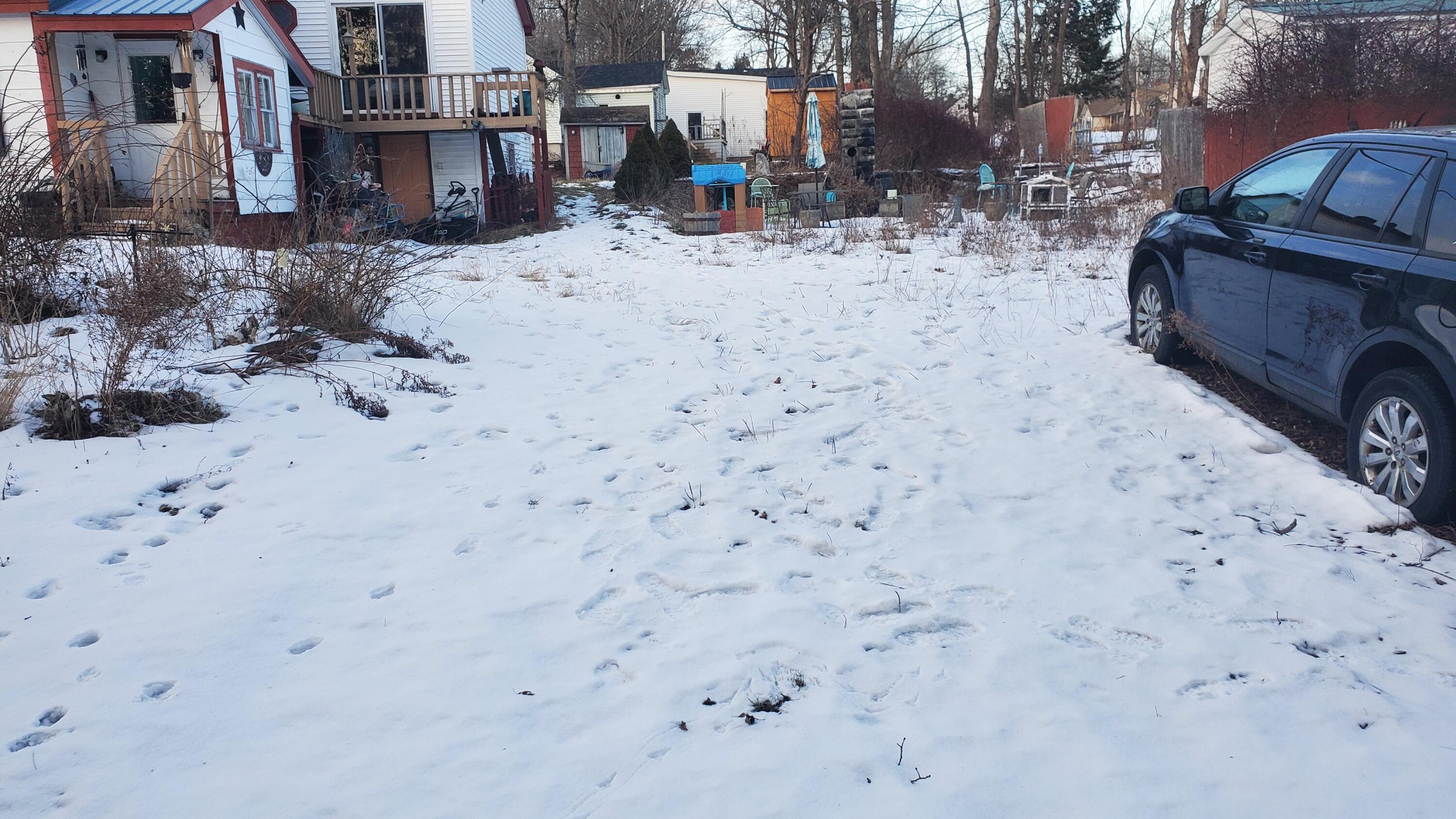 29 Oak Street Bucksport, ME 04416 - Photo 46 of 51 20260113_160146