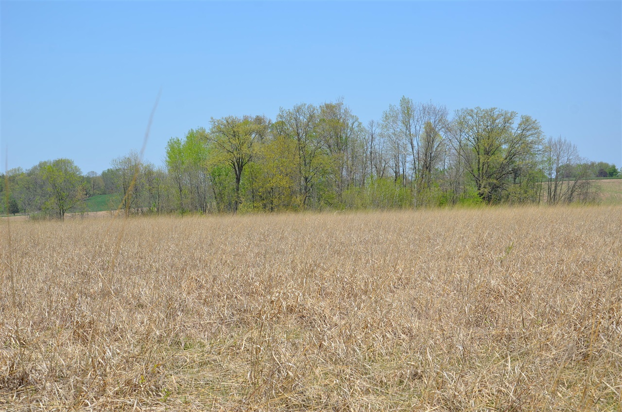 2255 River Road Hastings, MI 49058 - Photo 52 of 94