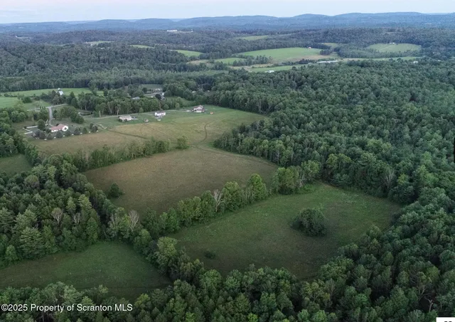 an aerial view of green landscape with trees houses and mountain view