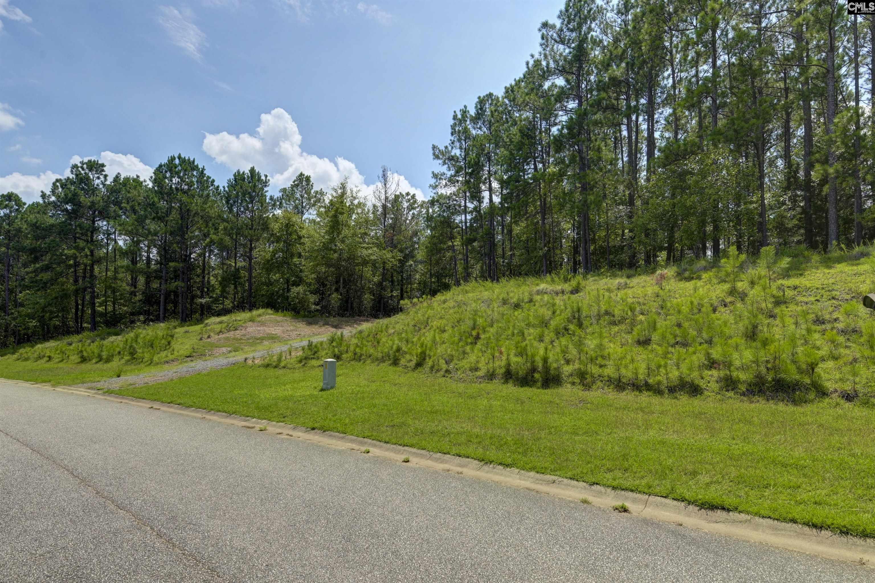 Tbd Retreat Way Ridgeway, SC 29130 - Photo 9 of 26