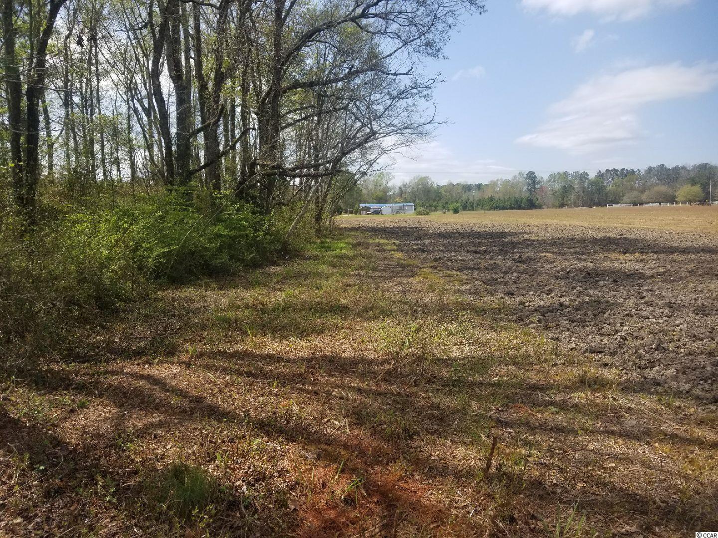 Tbd West Willow Pond Road Johnsonville, SC 29555 - Photo 14 of 20 Gallery Image 14