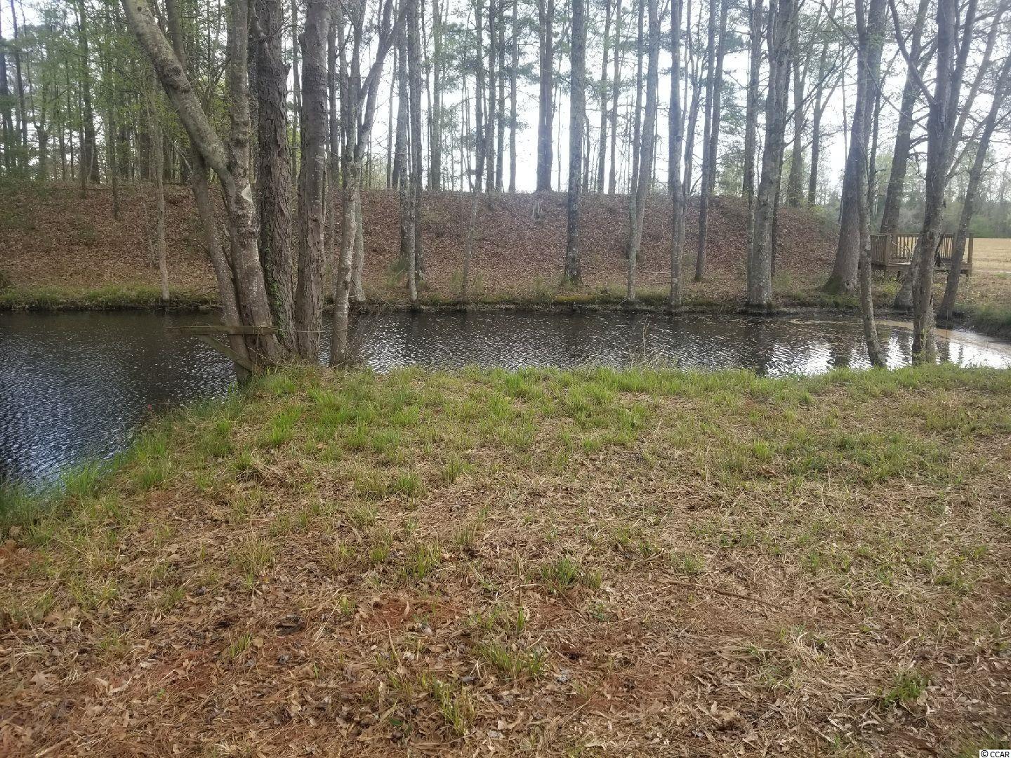 Tbd West Willow Pond Road Johnsonville, SC 29555 - Photo 3 of 20 Gallery Image 3