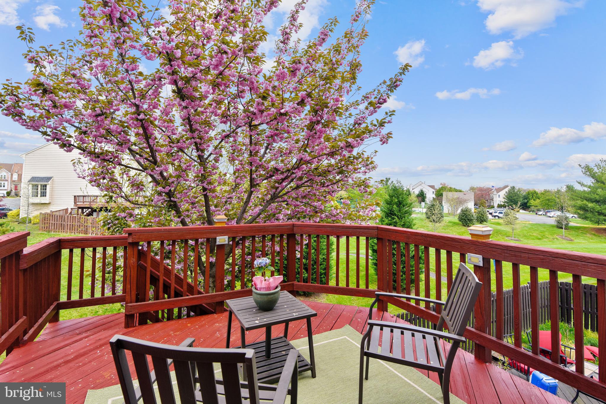 46826 Rabbitrun Terrace Sterling, VA 20164 - Photo 12 of 35 Deck from mail Living Area