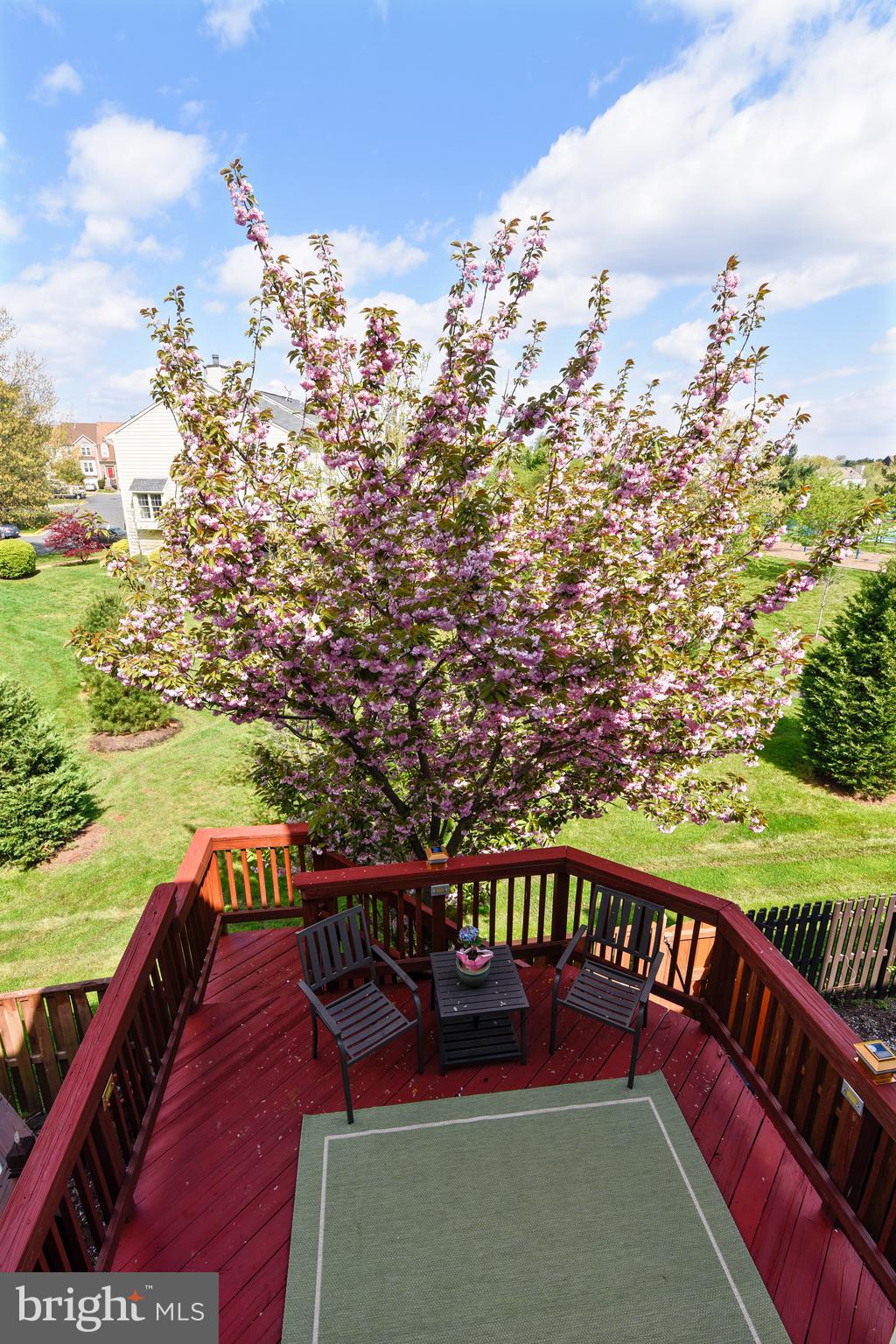 46826 Rabbitrun Terrace Sterling, VA 20164 - Photo 13 of 35 View of Deck