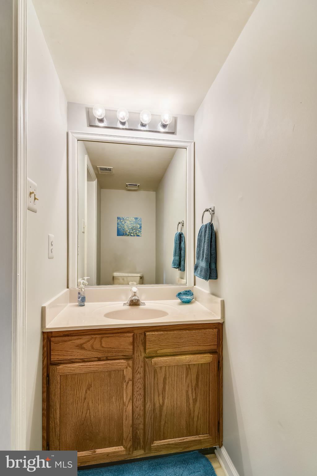 46826 Rabbitrun Terrace Sterling, VA 20164 - Photo 15 of 35 Half Bath Lower Level