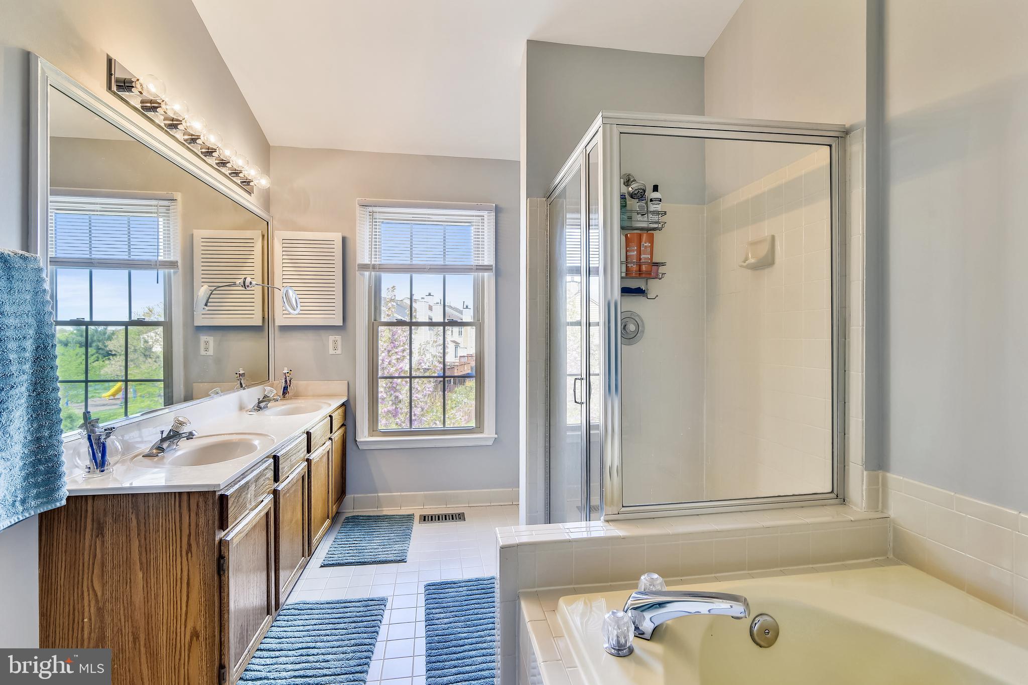 46826 Rabbitrun Terrace Sterling, VA 20164 - Photo 20 of 35 Luxury Master Bathroom with Soaking Tub