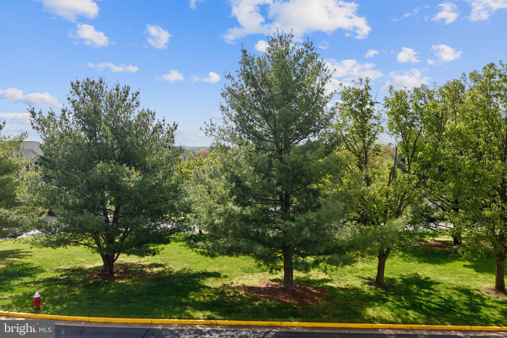 46826 Rabbitrun Terrace Sterling, VA 20164 - Photo 29 of 35 Front View from house.