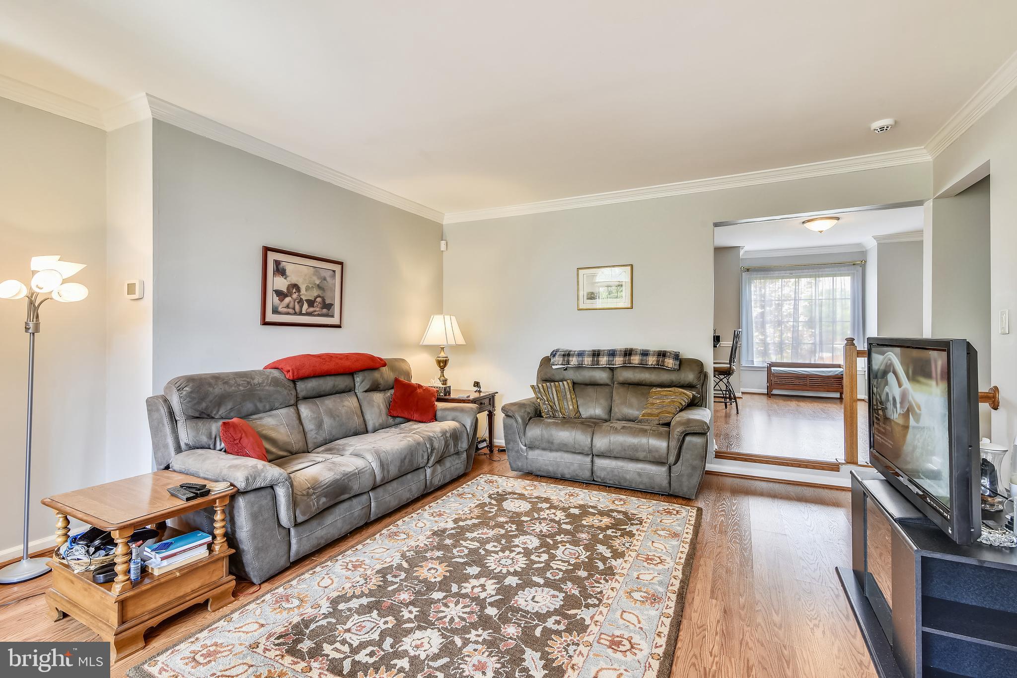 46826 Rabbitrun Terrace Sterling, VA 20164 - Photo 8 of 35 Living Area with 9 ft ceilings