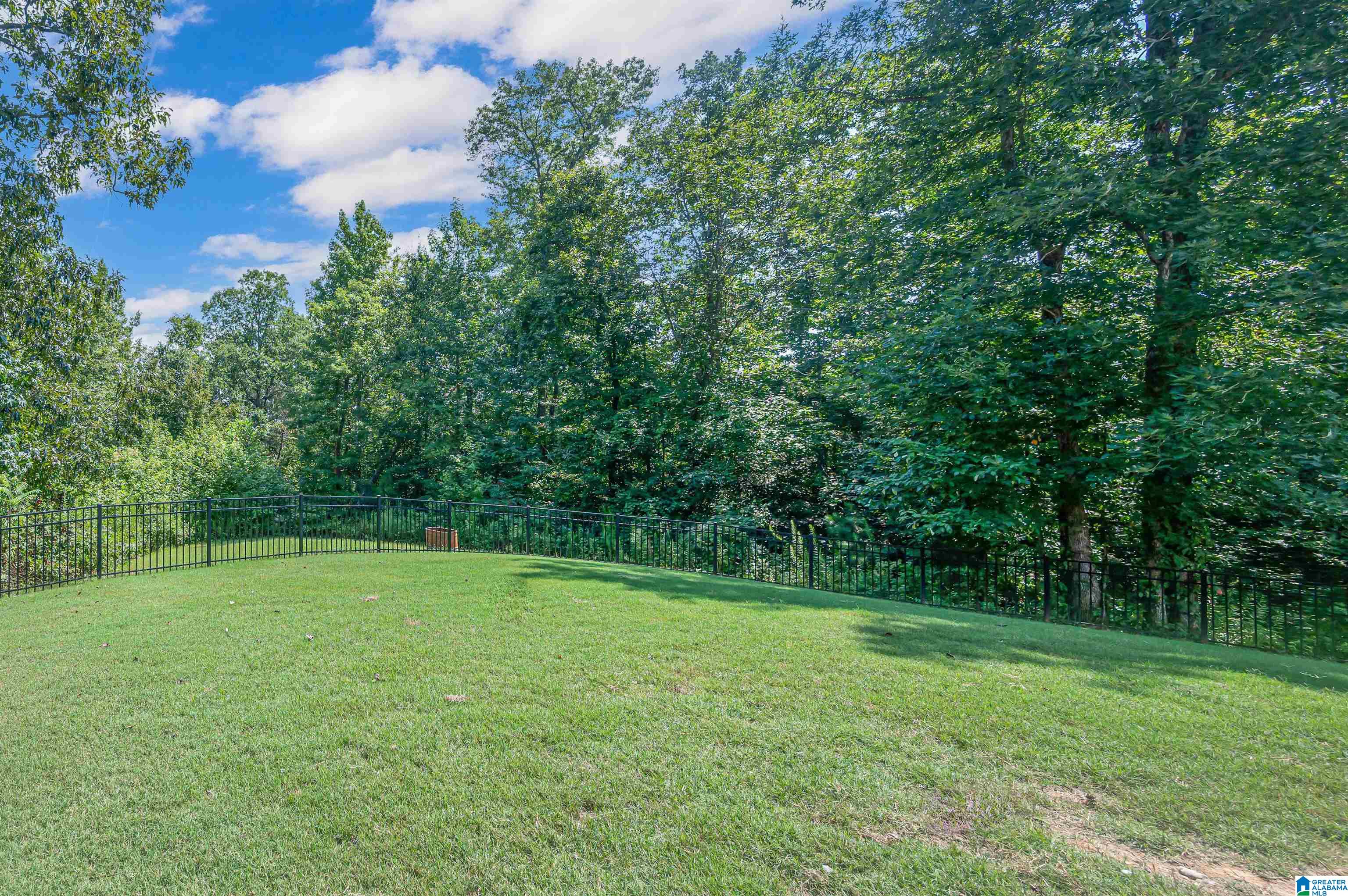 904 Long Street Helena, AL 35080 - Photo 46 of 48