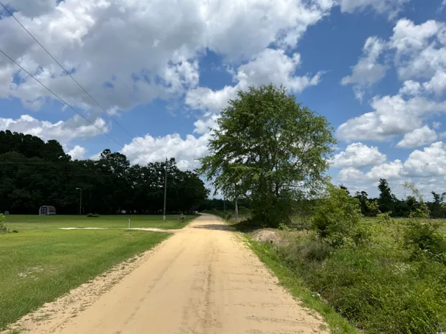 $1,200,000 | Tbd East Tbd E Leitner Extension, Latta, SC 29565