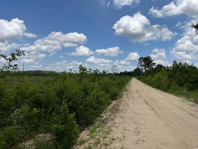 $1,200,000 | Tbd East Tbd E Leitner Extension, Latta, SC 29565