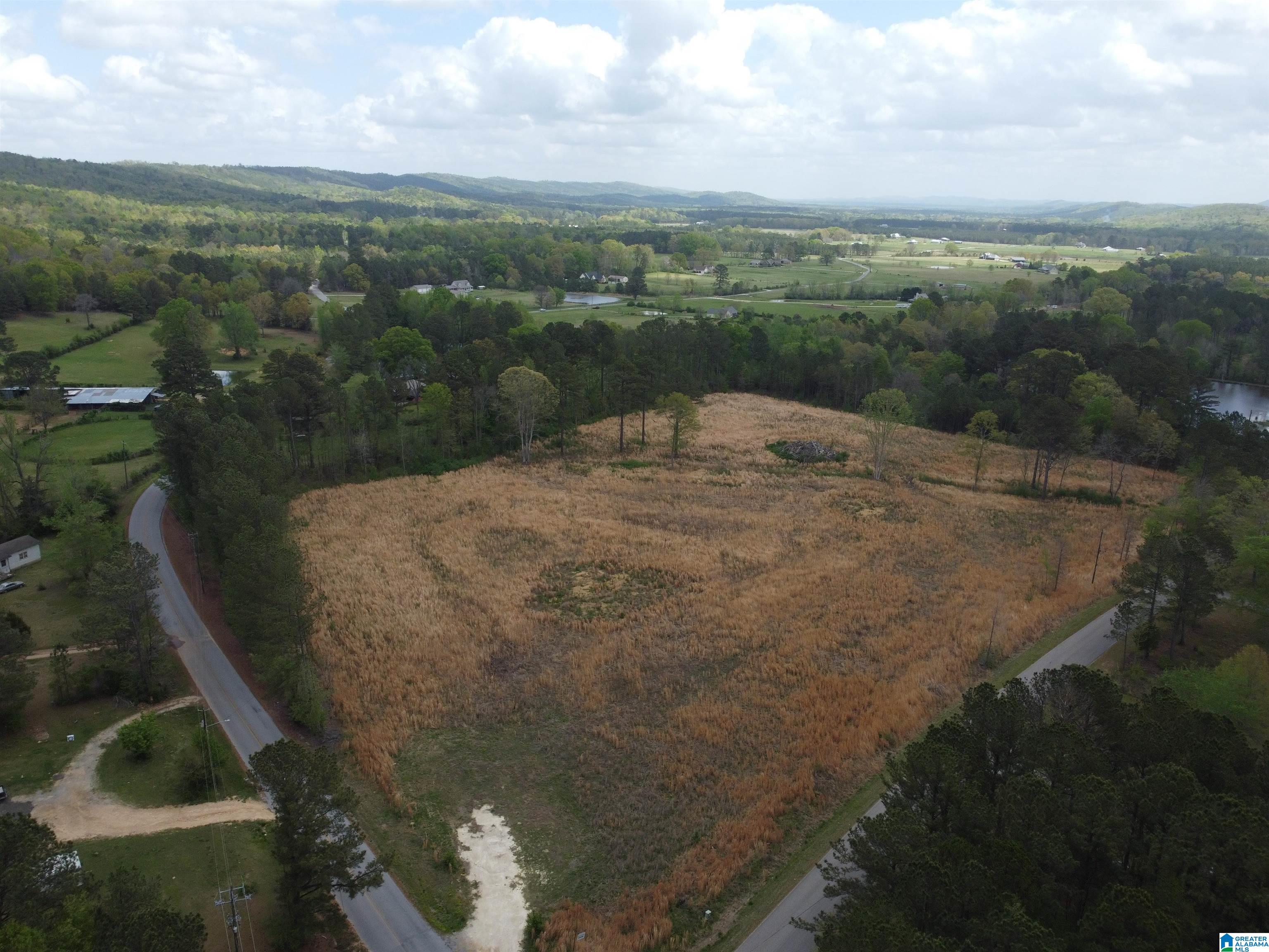0 Greensport Road Ashville, AL 35953 - Photo 24 of 43