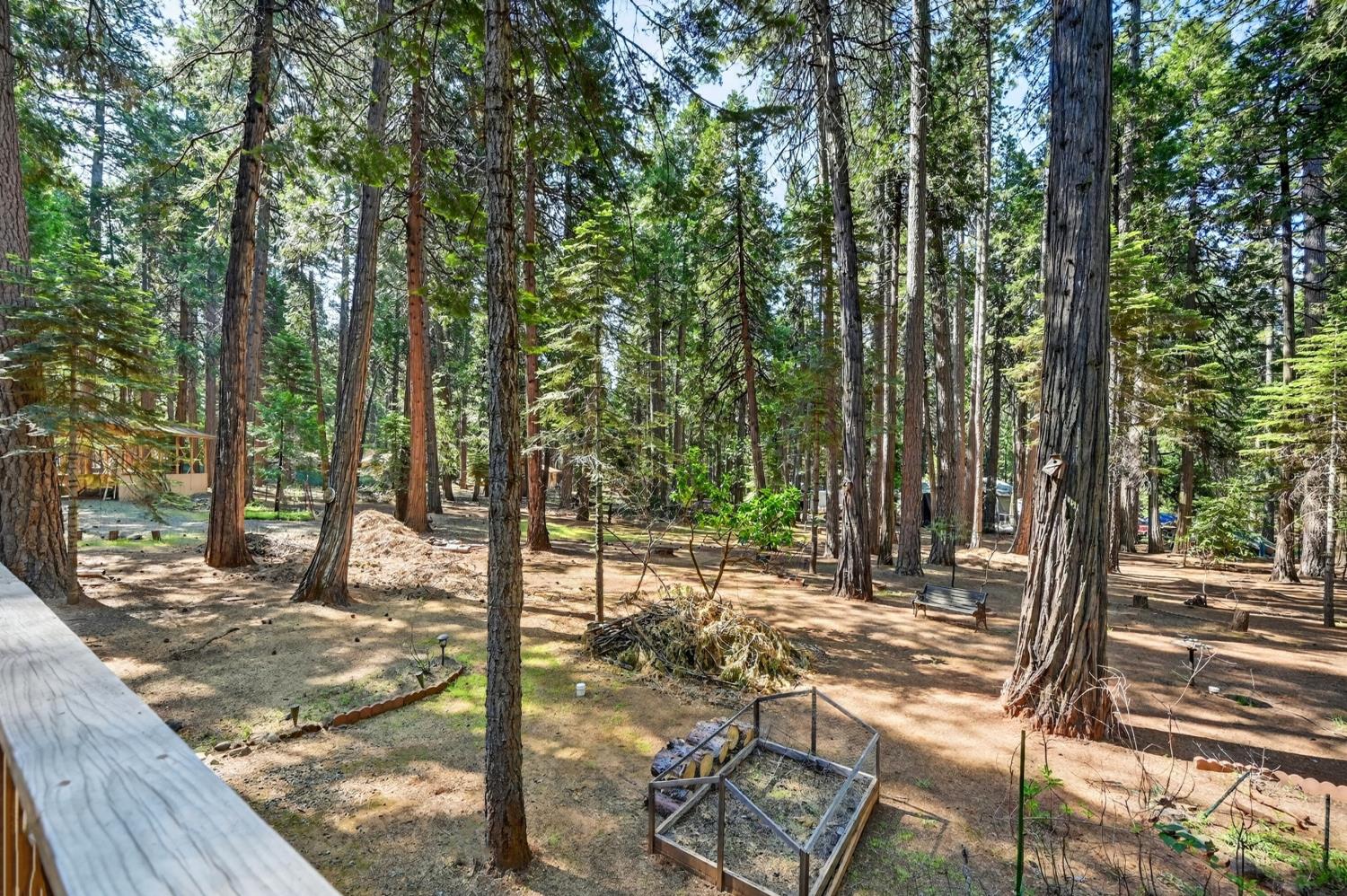 20191 Kit Court Volcano, CA 95689 - Photo 45 of 54